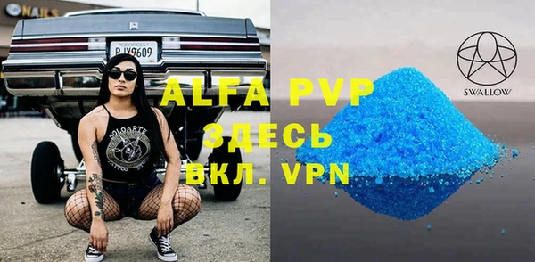 шишки Абаза