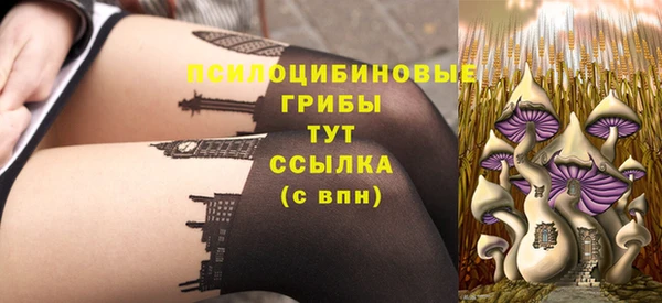 тгк Алексеевка